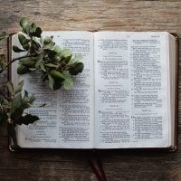 The Book of Ezekiel